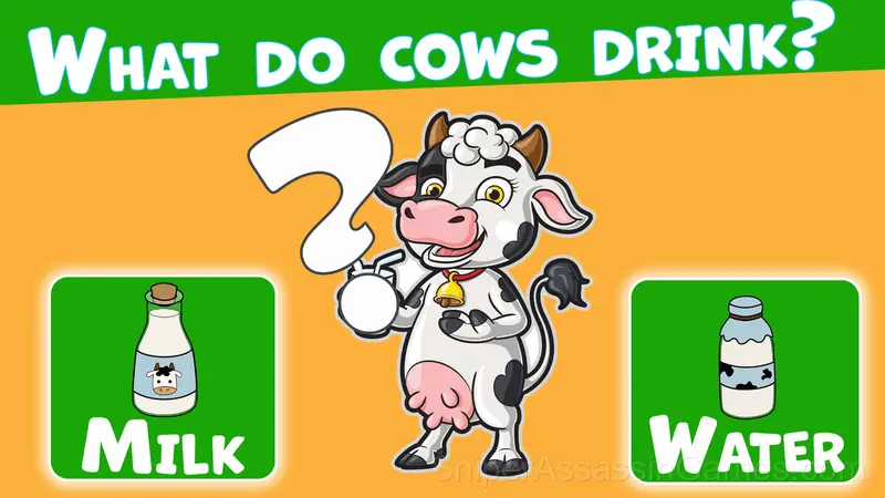 Funny Quiz - Online Trivia gameplay screenshot 4