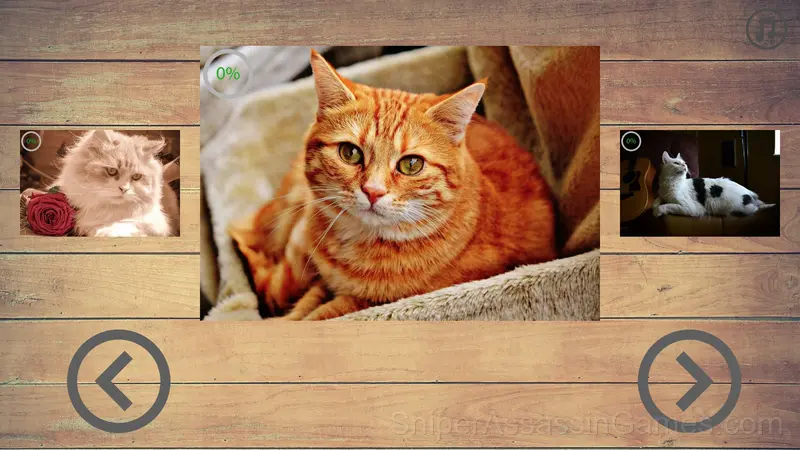 Cats Jigsaw Puzzle gameplay screenshot 1
