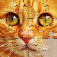 Unlimited Puzzles