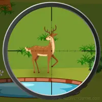 Deer Hunter