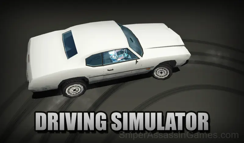 Play Driving Simulator