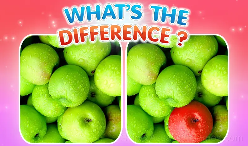 Play What's the difference?