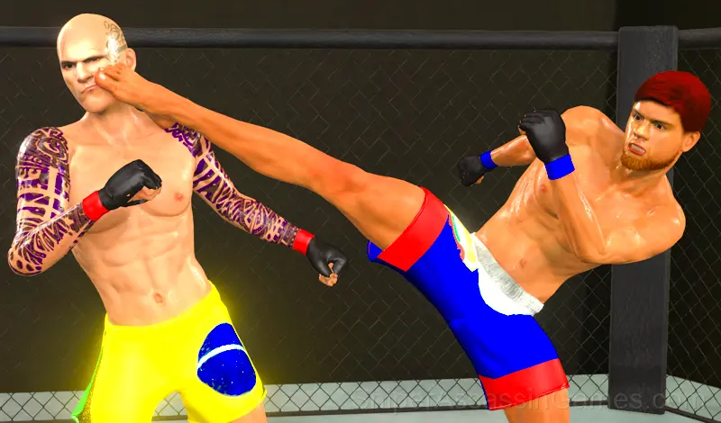 Play MMA fighting 3D