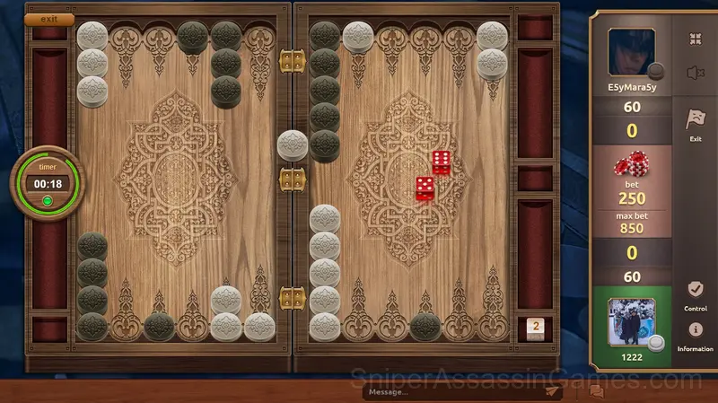 NardGammon. Backgammon gameplay screenshot 6