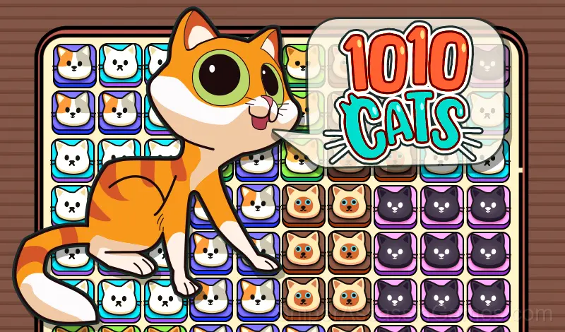 Play 1010 Cats