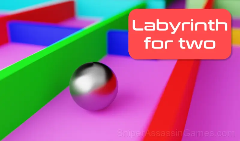 Play Labyrinth for two