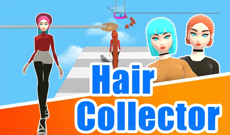 Play Hair Collector