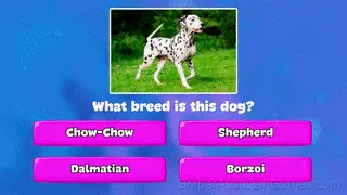 Trivia Quiz: Dog Breeds gameplay screenshot 6