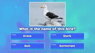 Trivia Quiz: Birds of the World gameplay screenshot 6
