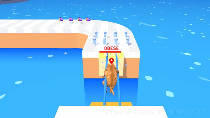 Pet Trainer Duel gameplay screenshot 1