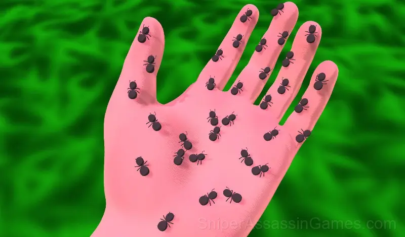 Play Ants Adventure