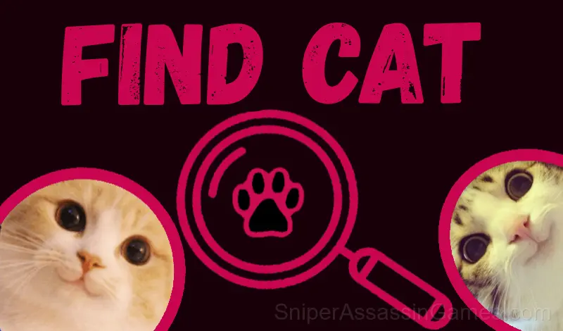 Play Find cat