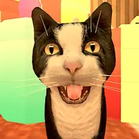 Cat Freddy