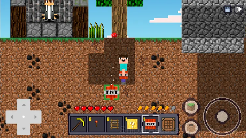 Minicraft: Hidden treasures gameplay screenshot 1