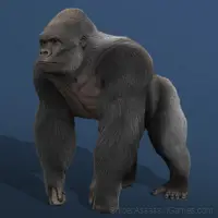 Human Evolution - Idle