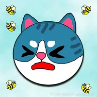 Save the Cat