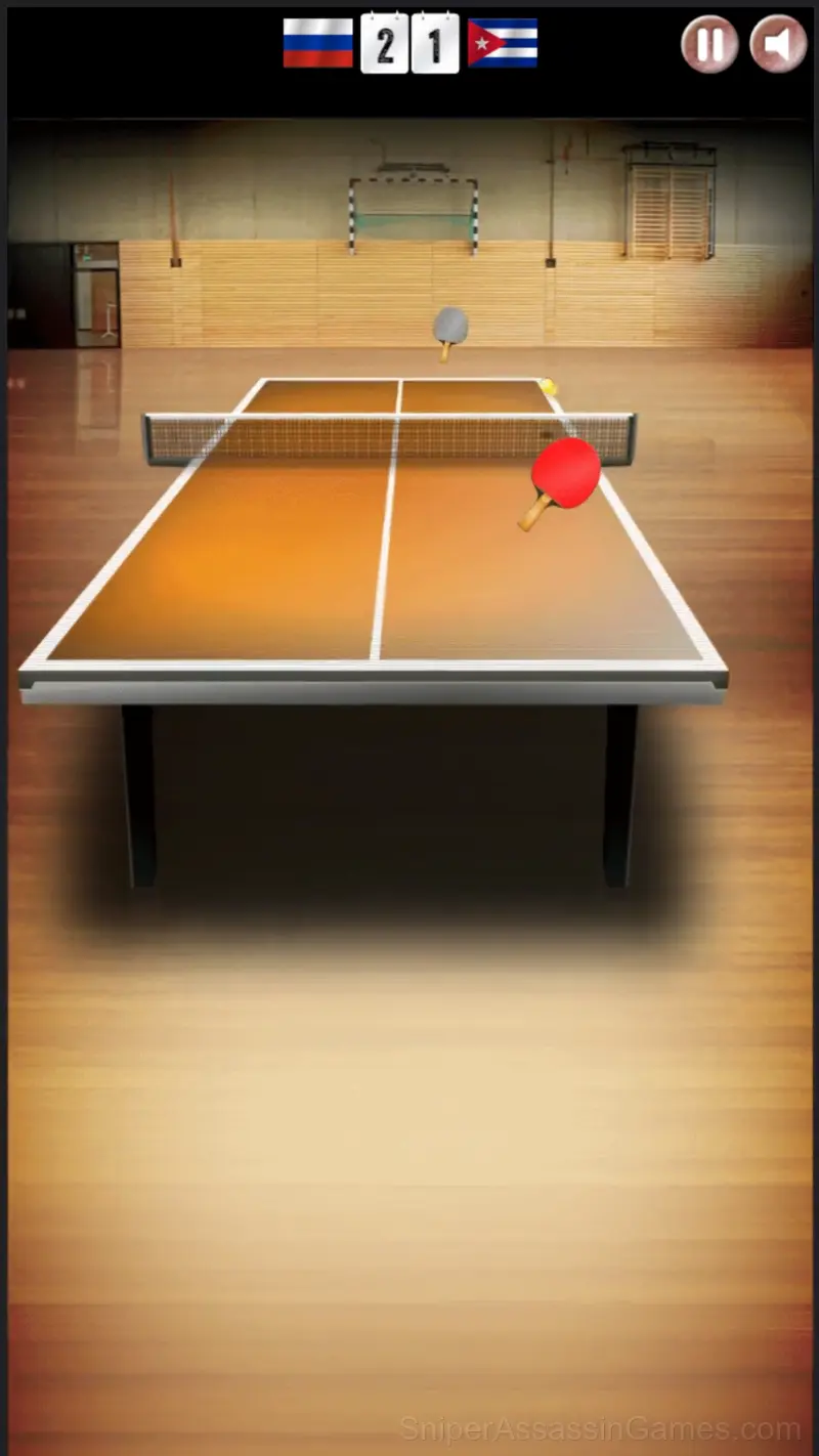 Table Tennis World Tour gameplay screenshot 3