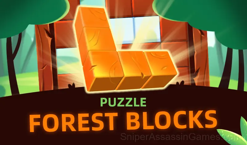 Play Puzzle Forest Blocks