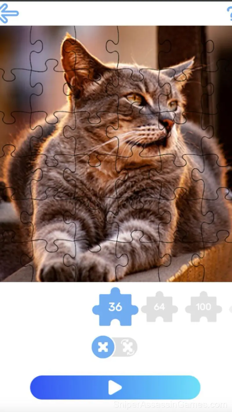 Magic Jigsaw Puzzles gameplay screenshot 1