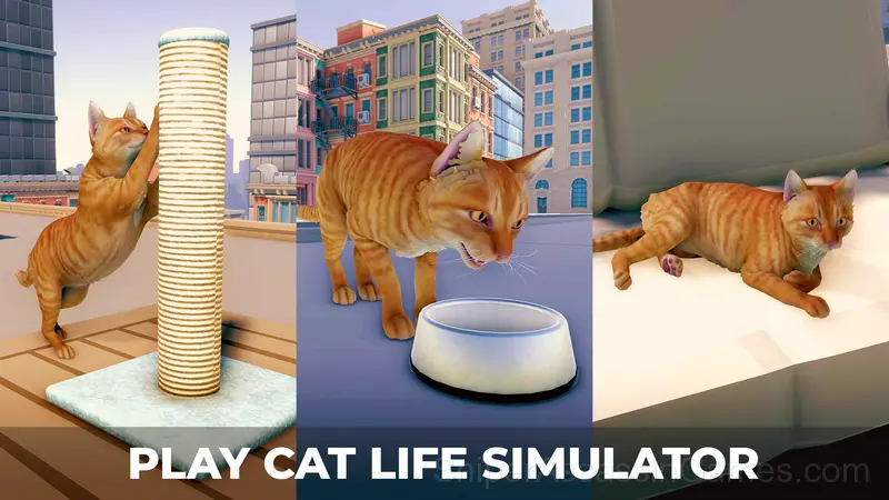 Cat Simulator in the City gameplay screenshot 4