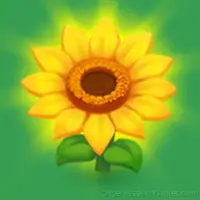 Bouquet of Flowers