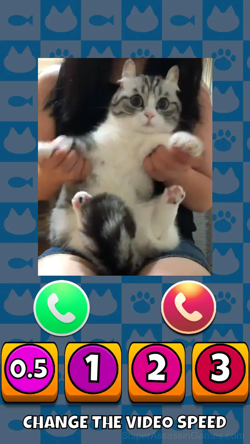 Komaru cat gameplay screenshot 6