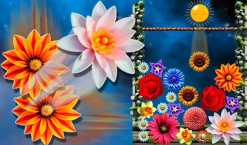 Play Merge flowers 2048