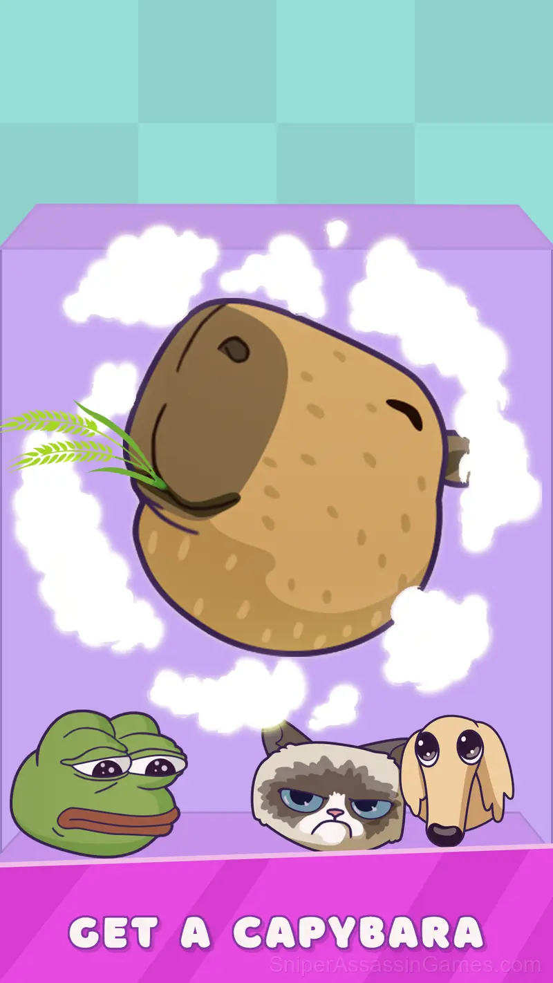 Connect the Capybara: Meme Puzzle gameplay screenshot 3