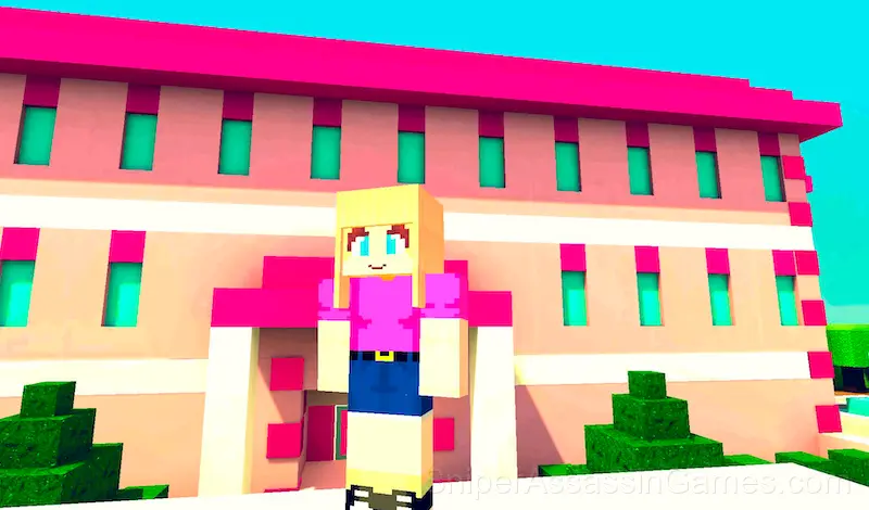 Play Pink Barbie Dollhouse