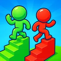 Bridge Match