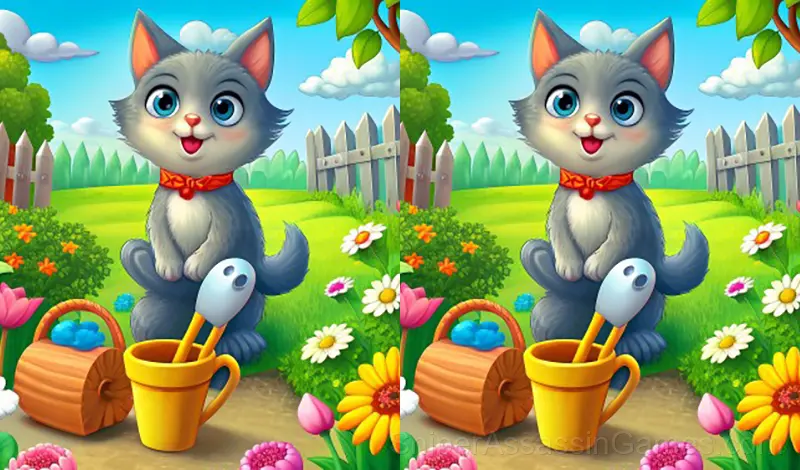 Play Find the Difference Master