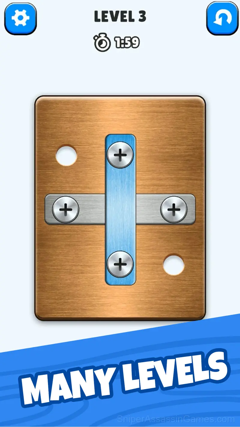 Pin Master: Screw Puzzle Quest & Brain Games gameplay screenshot 3