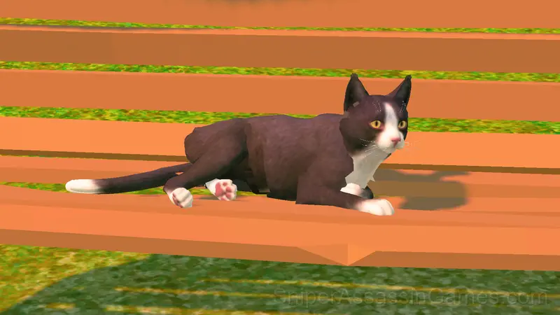 Cat's Life gameplay screenshot 1