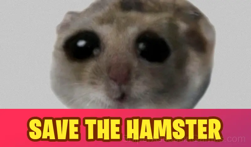Play Save the Hamster