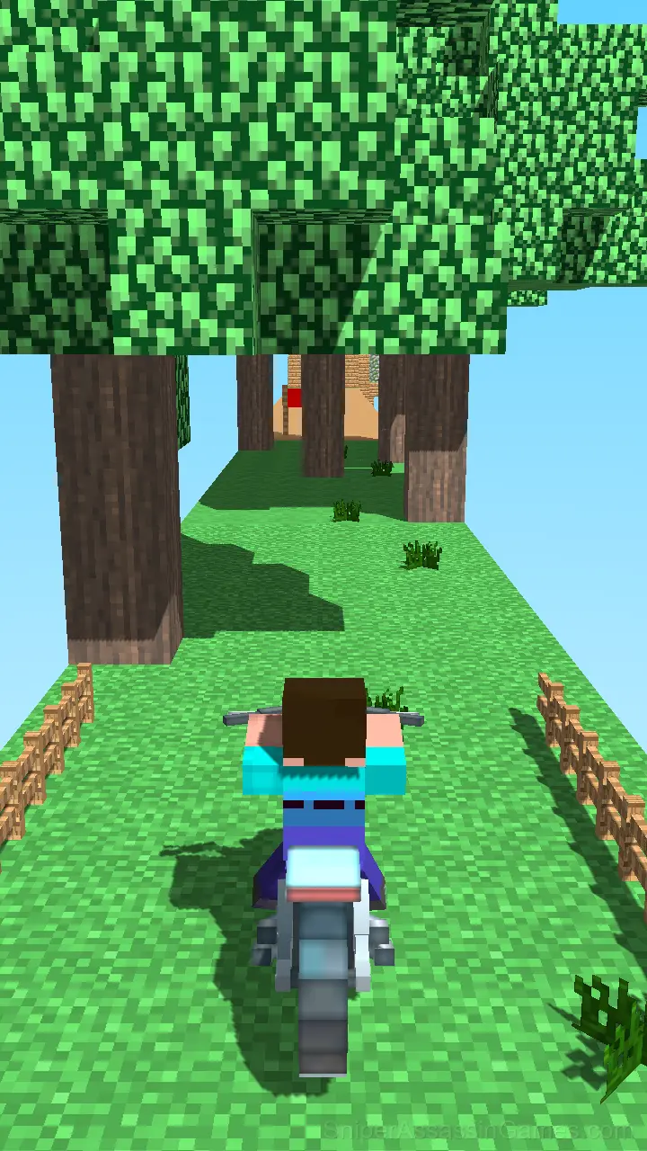 Crazy Motorcycle gameplay screenshot 1