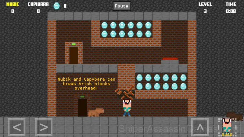 Nubik and Capybara: Prison Break gameplay screenshot 3