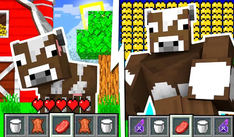 Play Mine cases: fill out the Skyblock!