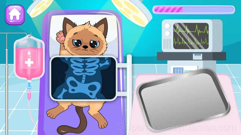 Cats Vet Clinic: Pet Doctor gameplay screenshot 4