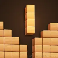 Woodoku Block Puzzle