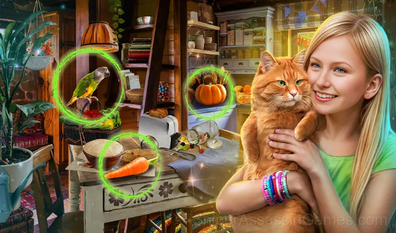 Play Hidden Objects: Sweet Home
