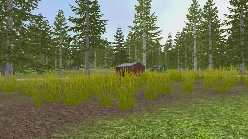 Survival simulator in the yard gameplay screenshot 3