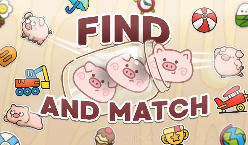 Play Find and Match