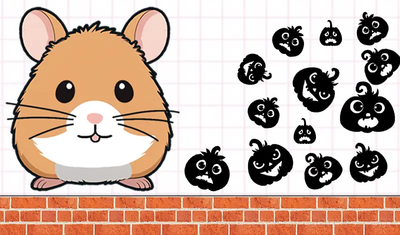 Play Hide hamster