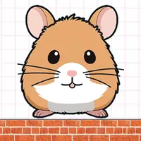Hide hamster