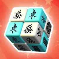 Find a Couple: Puzzle Cube