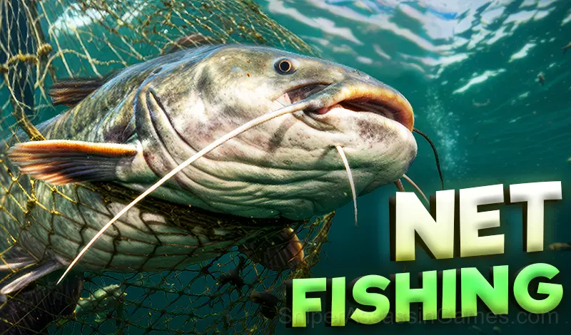 Play Net Fishing
