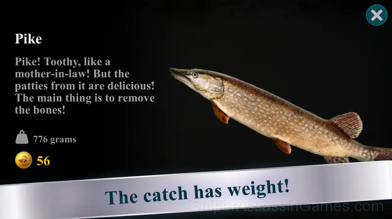 Net Fishing gameplay screenshot 5