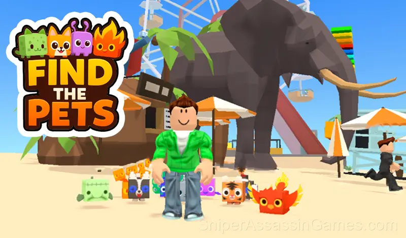 Play Find The Pets