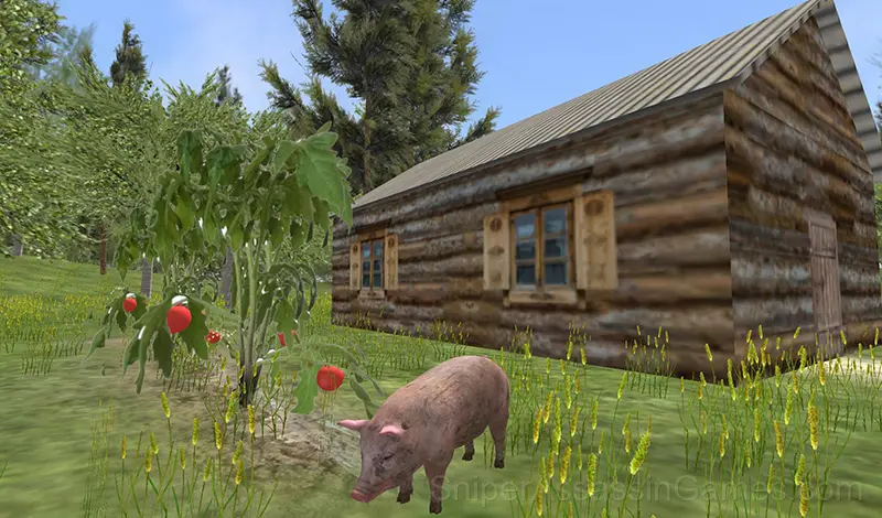 Play Village Pig Simulator