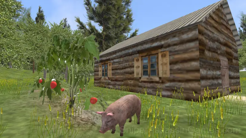 Village Pig Simulator gameplay screenshot 1